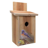 Cedar, Birdhouse, Blue Birds, Easy Open, Front Panel